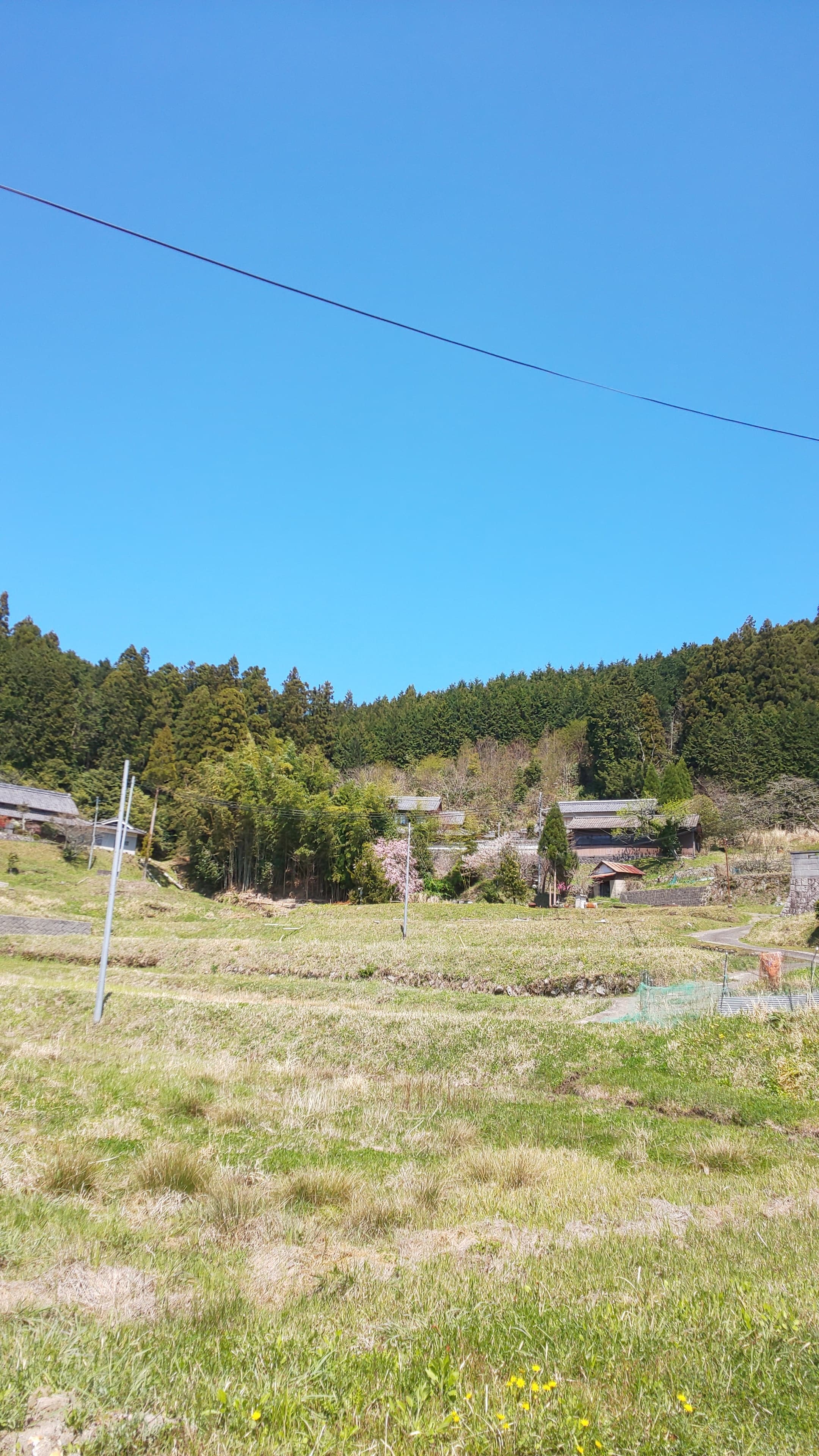 dsc_3292.jpg