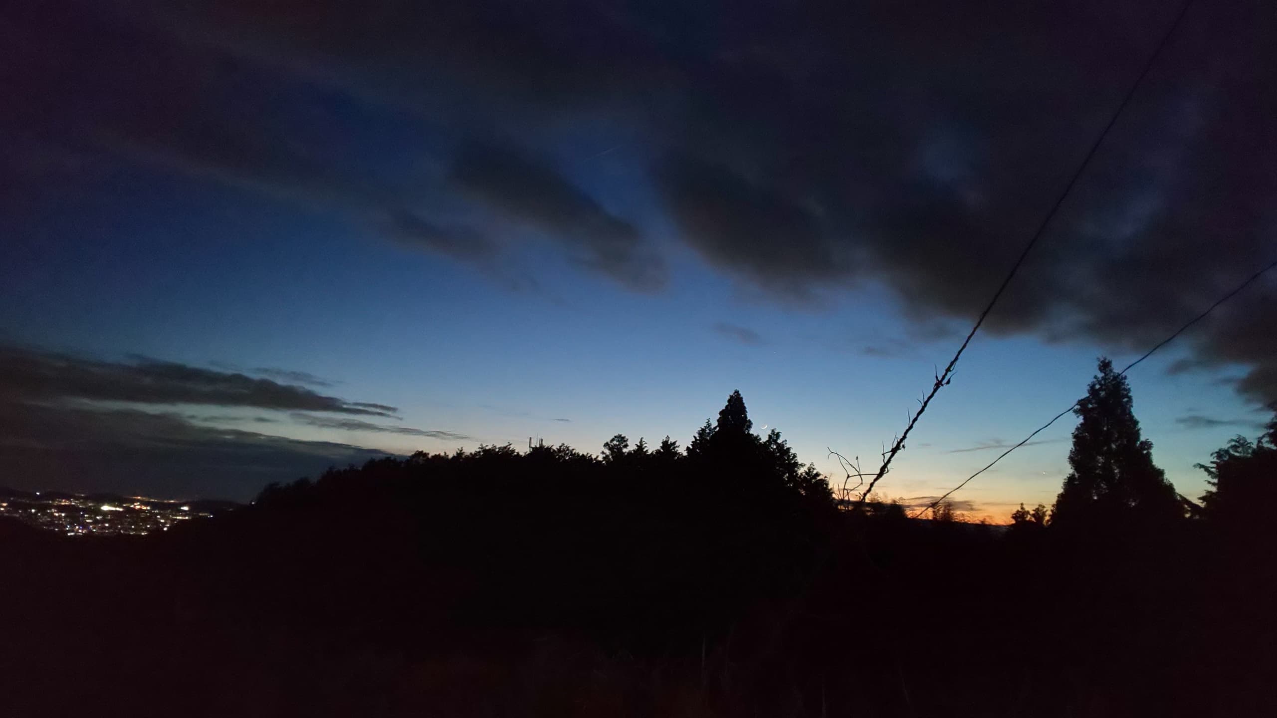 dsc_3384.jpg